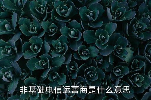 什么是基礎電信運營商，請問基礎電信企業(yè)是不是就是指幾大電信運營商啊不勝感激