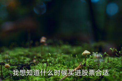 股票什么時(shí)間買進(jìn)，我想知道什么時(shí)候買進(jìn)股票合適