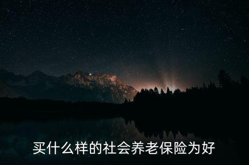 買什么樣的社會(huì)養(yǎng)老保險(xiǎn)為好