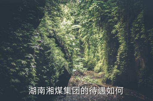 湖南湘煤集團(tuán)的待遇如何