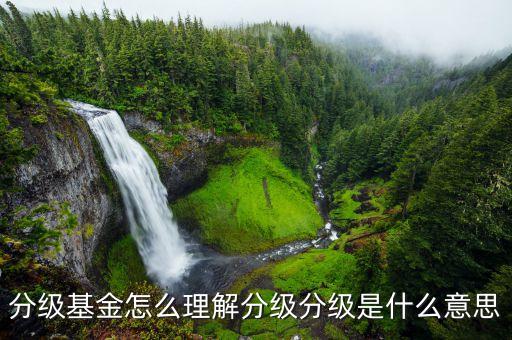 分級b基金什么意思，貨幣市場基金ab級各指什么含義