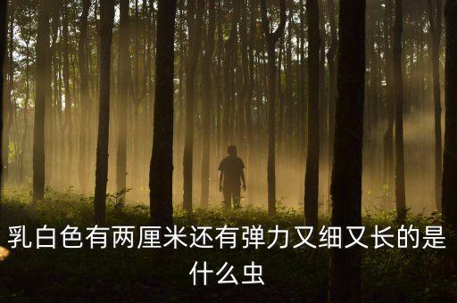 奶粉的白色蟲子是什么，貝因美奶粉里有蟲子包裝完好的貝因美奶粉里打開就發(fā)現(xiàn)里面有白
