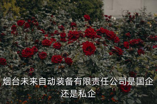 煙臺未來自動裝備有限責(zé)任公司是國企還是私企