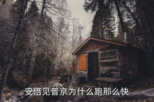 安倍為什么送普京狗，普京為何帶狗見安倍