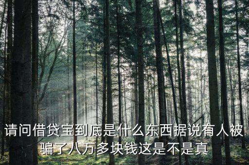 網(wǎng)貸寶是什么，請(qǐng)問(wèn)一下愛(ài)貸寶是什么意思