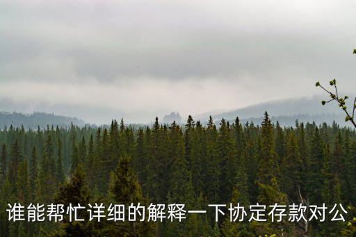 誰能幫忙詳細的解釋一下協(xié)定存款對公