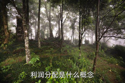 利潤分配是什么概念