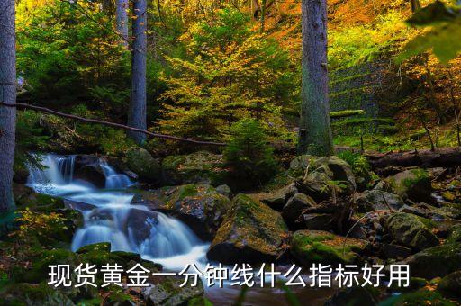 現(xiàn)貨黃金一分鐘線什么指標(biāo)好用
