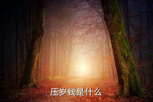 壓歲錢(qián)是什么