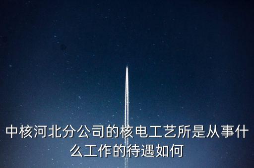核電化工所主要干什么，中國核電工程有限公司河北分公司化工專業(yè)進去做什么研究生畢