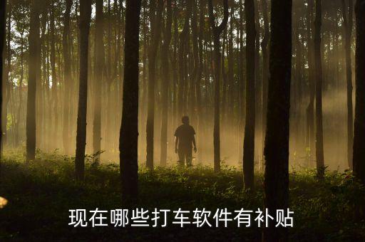 現(xiàn)在哪些打車軟件有補(bǔ)貼