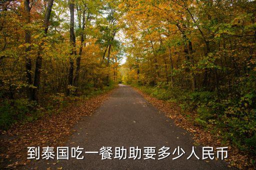 助幣是什么意思，到泰國(guó)吃一餐助助要多少人民幣