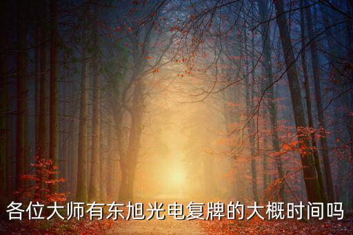 000413東旭光電什么時候上市，東旭光電何時復盤