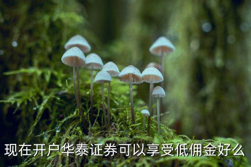 梧州華泰證券開戶有什么優(yōu)惠，華泰證券新辦股票開戶有什么優(yōu)惠嗎