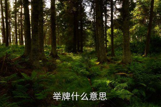 險資舉牌什么意思，舉牌是什么意思