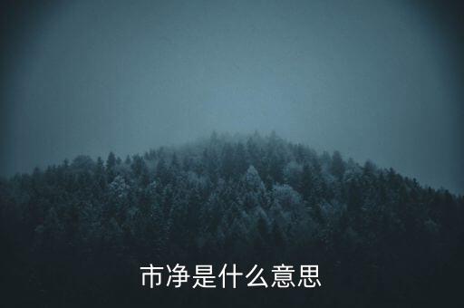 什么叫市凈率，什么是市凈率和市盈率