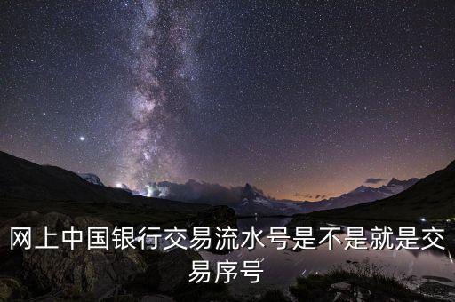 中國銀行企業(yè)網(wǎng)銀轉(zhuǎn)賬批次號什么意思，企業(yè)網(wǎng)銀客戶號是什么意思