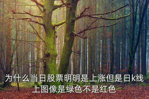為什么當日股票明明是上漲但是日k線上圖像是綠色不是紅色