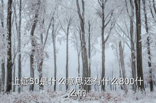 上證50什么意思，上證50是什么意思還有什么800什么的