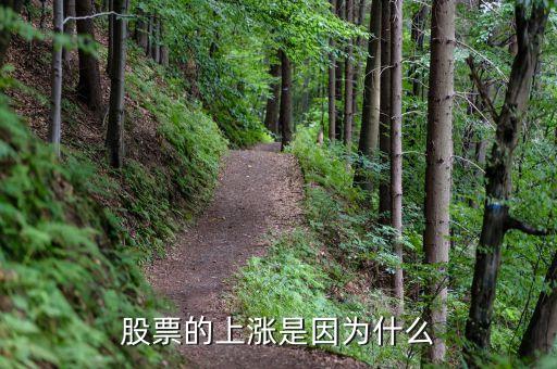 股市為什么大漲，股票的上漲是因?yàn)槭裁?/></a></span><span id=