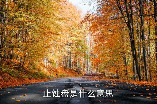止損盤是什么意思，止損盤什么意思啊