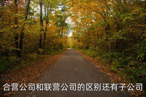 合營(yíng)公司和聯(lián)營(yíng)公司的區(qū)別還有子公司
