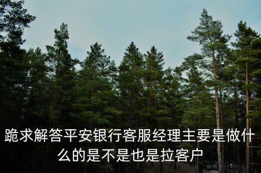 跪求解答平安銀行客服經(jīng)理主要是做什么的是不是也是拉客戶(hù)