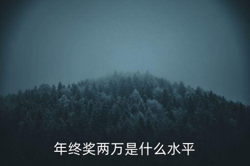 年終獎10000什么水平，月薪1700年終獎一萬算什么水平