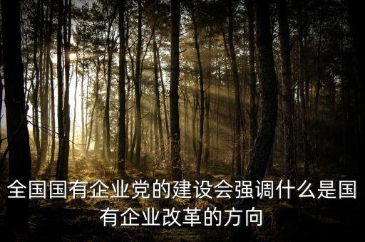 全國國有企業(yè)黨的建設(shè)會強(qiáng)調(diào)什么是國有企業(yè)改革的方向