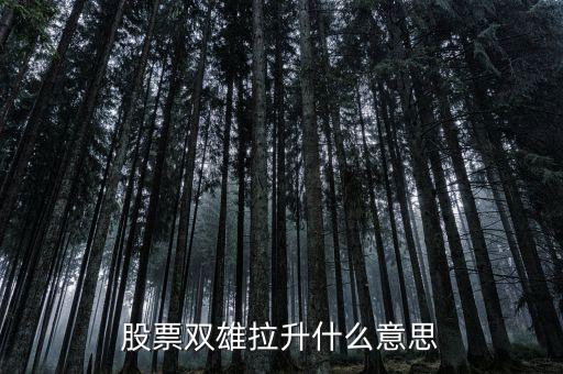 石化雙雄漲停意味著什么，股票雙雄拉升什么意思