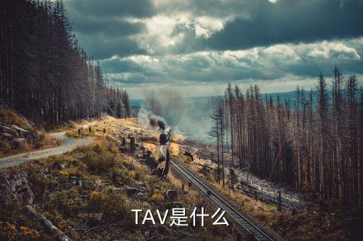 什么是孕線，TAV是什么