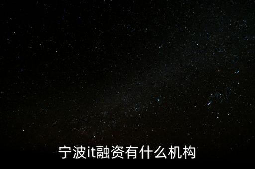 寧波it融資有什么機構(gòu)