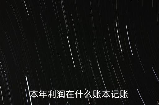 本年利潤(rùn)在什么賬本記賬