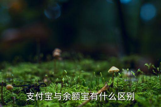 支付寶錢包跟余額寶有什么區(qū)別，支付寶錢包賬戶余額跟余額寶有什么不同