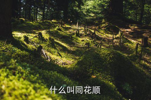什么是同花順框架，同花順是什么