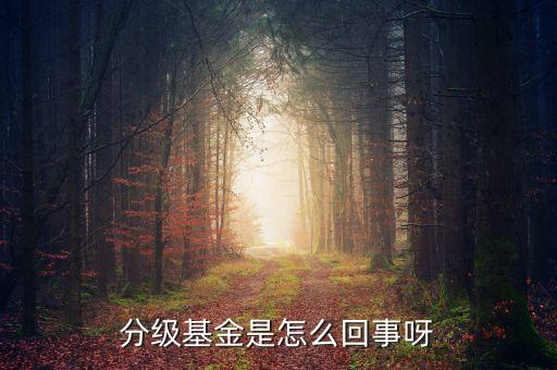 分級基金什么意思，分級基金是怎么回事呀