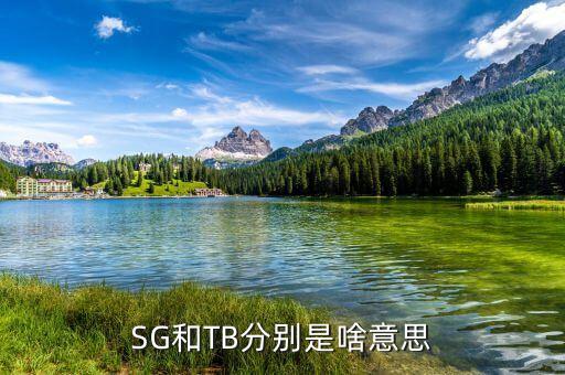 SG和TB分別是啥意思