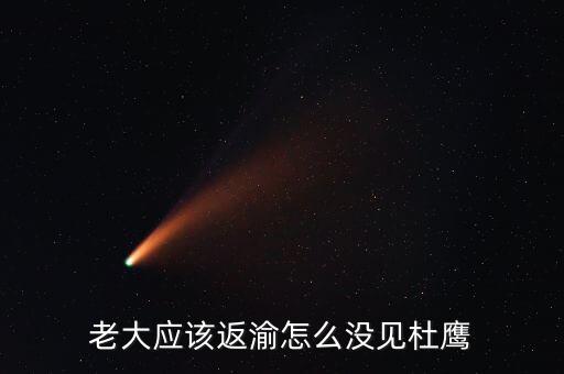 張曉強(qiáng)杜鷹為什么，發(fā)改委副主任杜鷹是誰的孩子