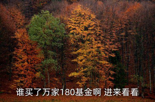 萬家180屬于什么基金，萬家180基金如何