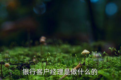 銀行客戶(hù)經(jīng)理是做什么的
