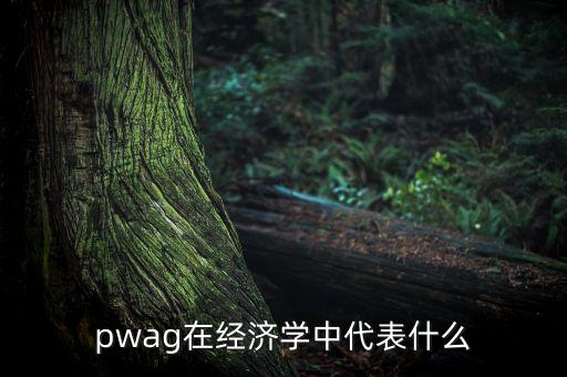 pwag在經(jīng)濟學(xué)中代表什么