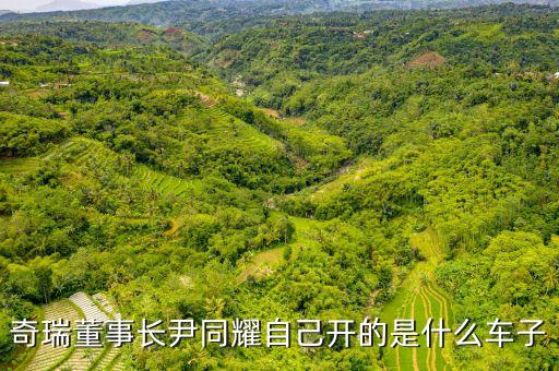 奇瑞董事長(zhǎng)尹同耀自己開(kāi)的是什么車(chē)子