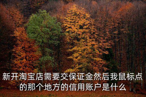 新開淘寶店需要交保證金然后我鼠標(biāo)點(diǎn)的那個(gè)地方的信用賬戶是什么