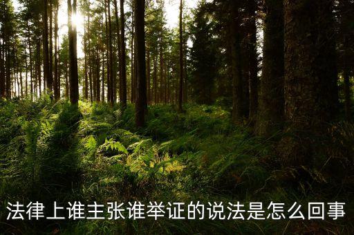 法律上誰主張誰舉證的說法是怎么回事