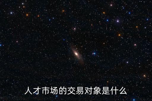 人才市場(chǎng)的交易對(duì)象是什么