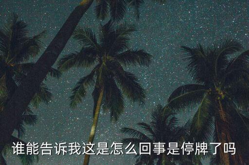 誰(shuí)能告訴我這是怎么回事是停牌了嗎