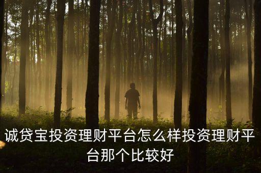 票誠寶主要投資什么，請問一下誠貸寶是一個什么樣的公司