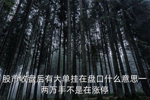 股市收盤后有大單掛在盤口什么意思一兩萬(wàn)手不是在漲停