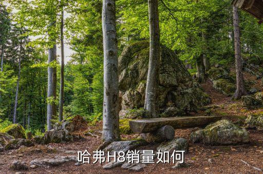 哈弗H8銷(xiāo)量如何