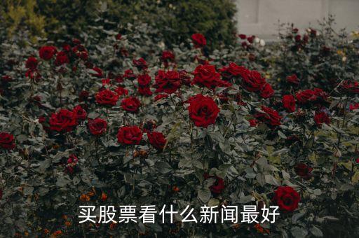 炒股看什么看什么財(cái)經(jīng)，有什么比較好的推薦股票的財(cái)經(jīng)節(jié)目